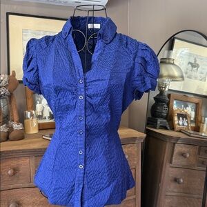 Ali & Kris Electric Blue with Silk Strips Button-Up Blouse